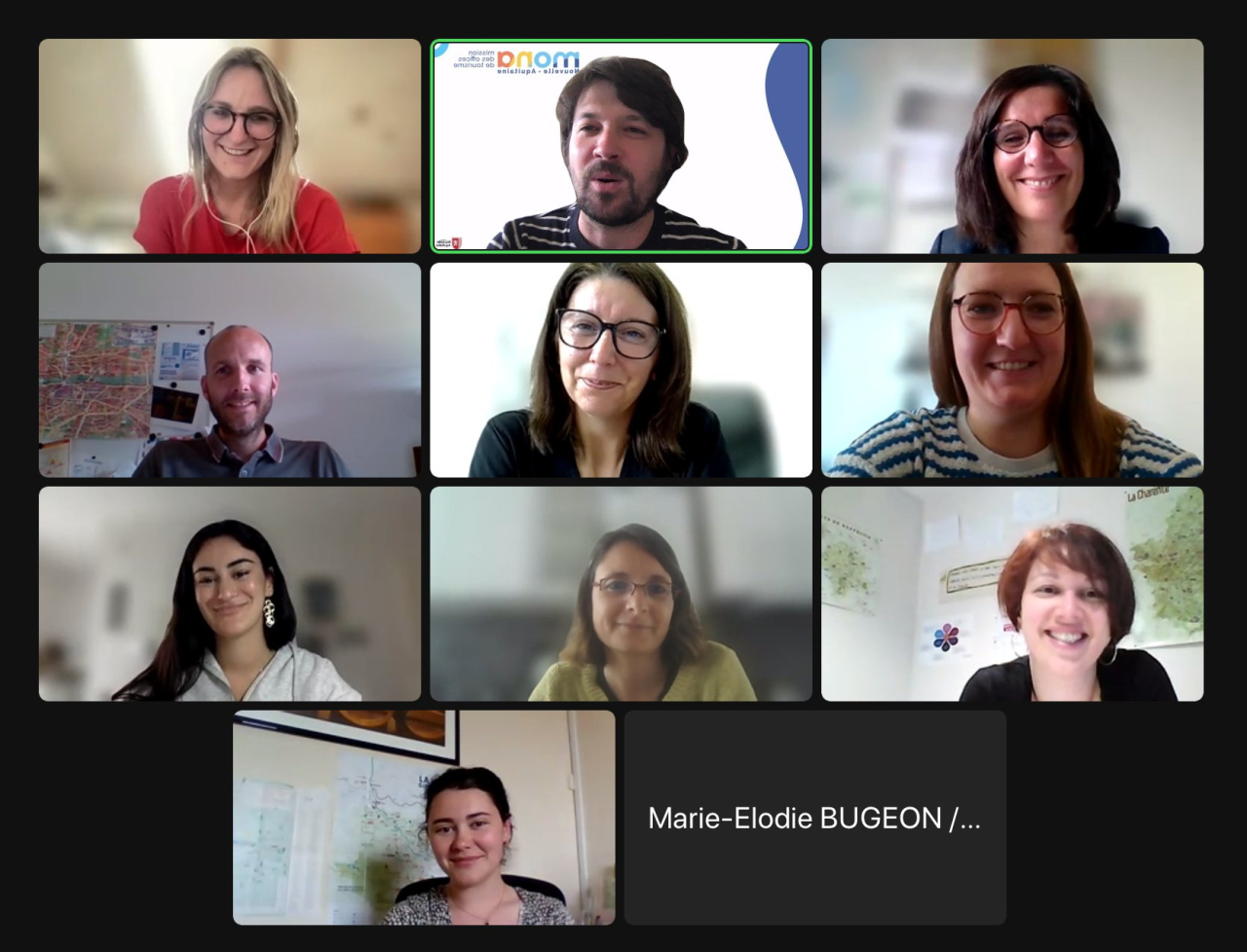 Capture d'écran de la visio du groupe de travail mona micro rso