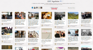 pinterest ANT
