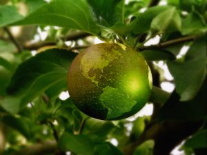 pomme apparence planète