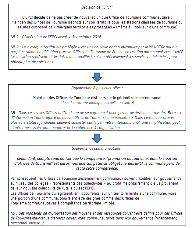 Scénario 2 Organisation à deux têtes