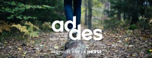 addes programme mona