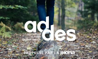 addes programme mona