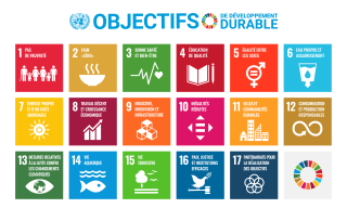 les objectifs de développement durable (odd)